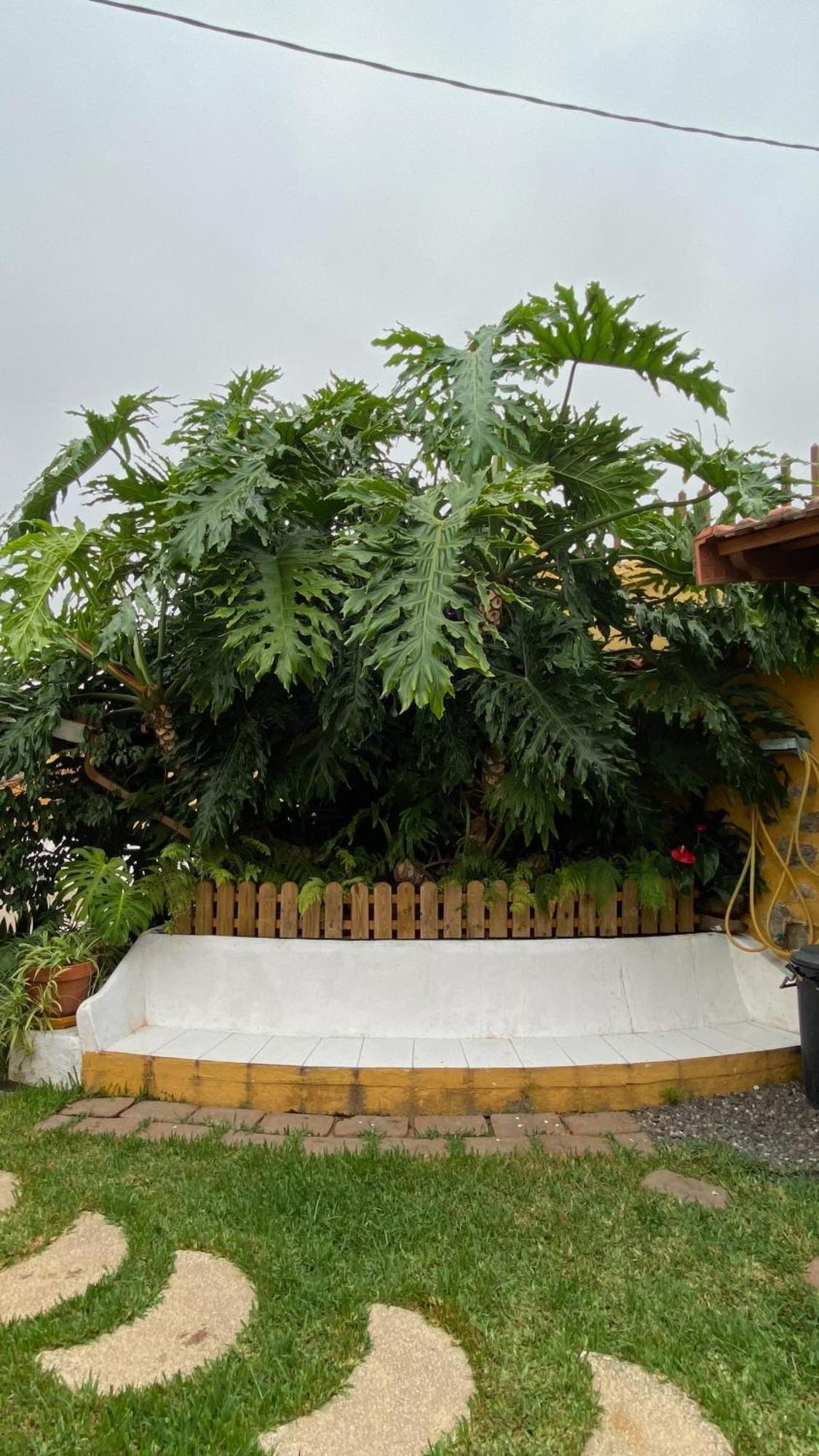 Casa Rural La Ganania 로스 레알레호스 외부 사진